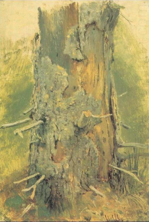 Ivan Shishkin Bark on Dried Up Tree china oil painting image